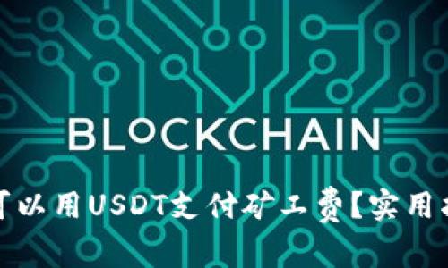 哪个钱包可以用USDT支付矿工费？实用指南与推荐