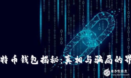 比特币钱包揭秘：真相与骗局的界限