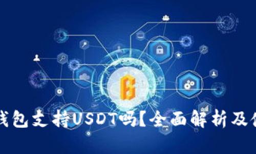 小狐狸钱包支持USDT吗？全面解析及使用指南