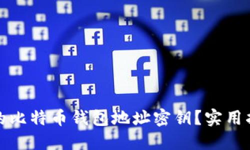 如何找回遗忘的比特币钱包地址密钥？实用指南与解决方案