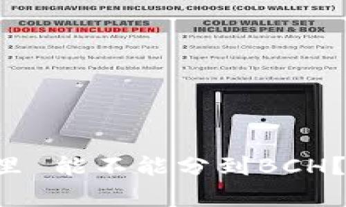 jiaoti比特币在钱包里 能不能分到BCH？深度解析与实践指南