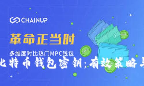 如何找回比特币钱包密钥：有效策略与实用技巧