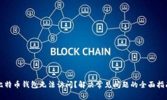 比特币钱包无法访问？解决常见问题的全面指南