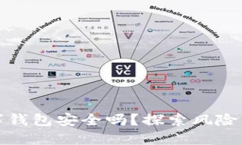 TP数字钱包安全吗？探索风险与利益