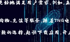   全面解析TNG电子钱包使用教程：解锁数字支付的