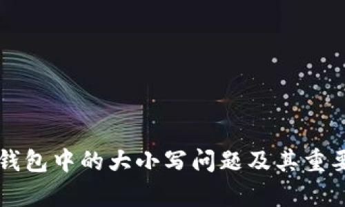 区块链钱包中的大小写问题及其重要性解析