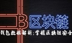比特币全节点钱包数据解析：掌握区块链安全与