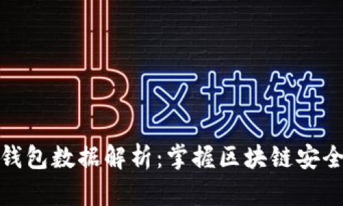 比特币全节点钱包数据解析：掌握区块链安全与隐私的关键