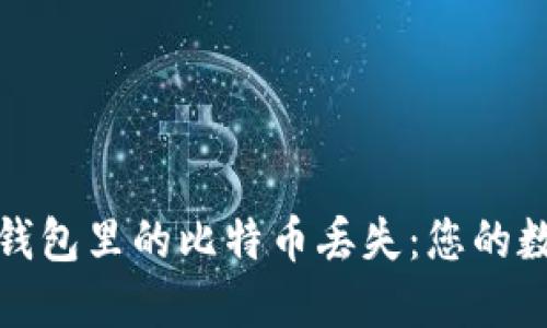 如何安全防范钱包里的比特币丢失：您的数字资产保卫战