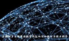 区块链手表转变为数字钱包的详细教程与图片指