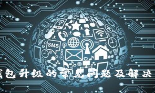虚拟币钱包升级的常见问题及解决方案揭秘