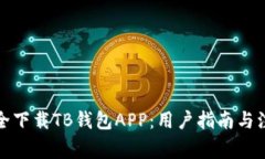 如何安全下载TB钱包APP：用户指南与注意事项