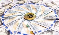 如何利用非小号轻松查找区块链钱包：一步步教