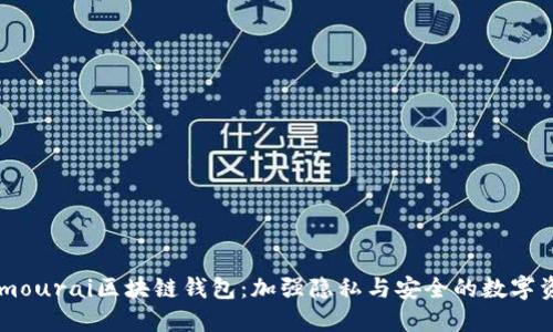 深入了解Samourai区块链钱包：加强隐私与安全的数字资产保护工具