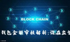 USDT提到前钱包金额审核解析：谁在监管、如何操