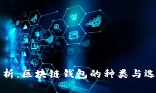 全面解析：区块链钱包的种类与选购指南
