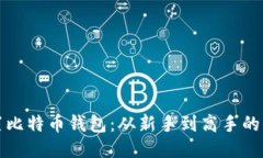 如何设置比特币钱包：从新手到高手的全面指南