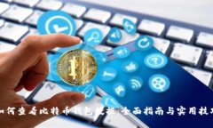 如何查看比特币钱包数据：全面指南与实用技巧
