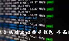 如何选择适合的中文比特币钱包：全面指南与推