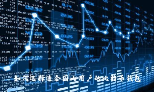 如何选择适合国内用户的比特币钱包