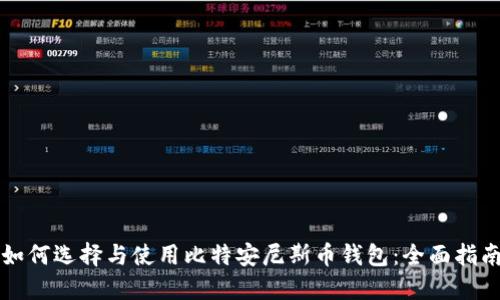 如何选择与使用比特安尼斯币钱包：全面指南