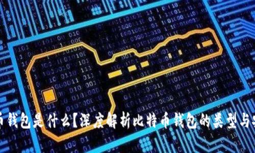 比特币钱包是什么？深度解析比特币钱包的类型与安全性