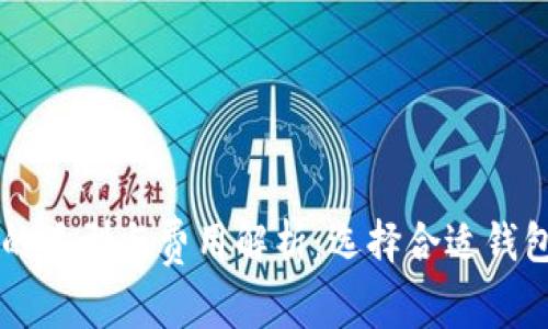 区块链钱包的类型与费用解析：选择合适钱包的全面指南