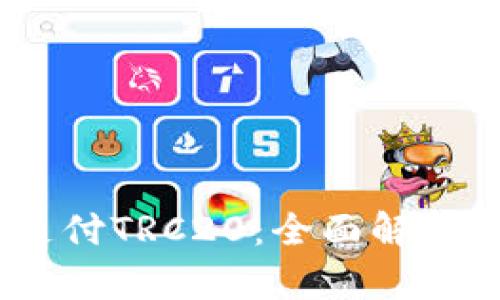 USDT钱包支付TRC20：全面解析与实用指南