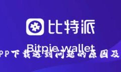 TP钱包APP下载遇到问题的原因及解决方案