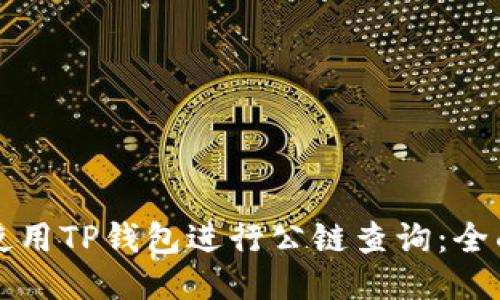 如何使用TP钱包进行公链查询：全面指南