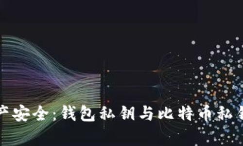 确保数字资产安全：钱包私钥与比特币私钥的全面解析