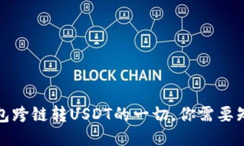 使用TP钱包跨链转USDT的一切，你需要知道的指南