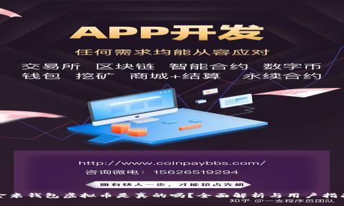 金米钱包虚拟币是真的吗？全面解析与用户指南