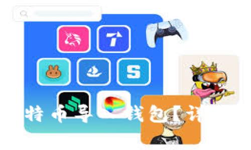 如何安全地将比特币导入钱包？详细步骤与注意事项