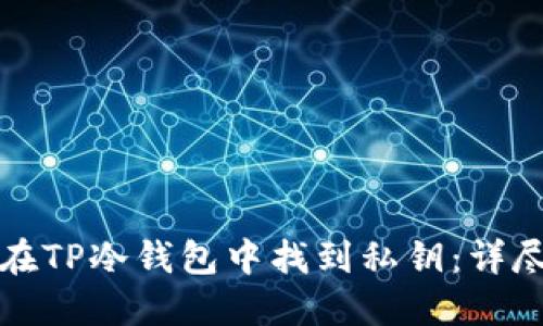 如何在TP冷钱包中找到私钥：详尽指南