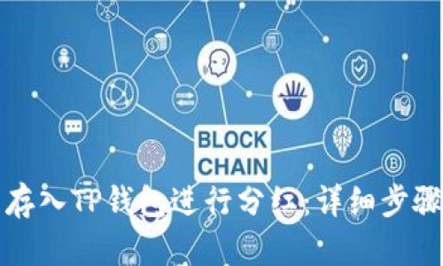 如何将猪币存入TP钱包进行分红：详细步骤与实用指南