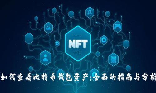 如何查看比特币钱包资产：全面的指南与分析