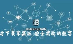 TP钱包app官方下载苹果版：安全高效的数字资产管