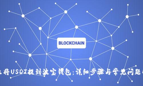 怎么将USDT提到波宝钱包：详细步骤与常见问题解析