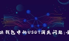 如何解决钱包中的USDT消失问题：全面指南