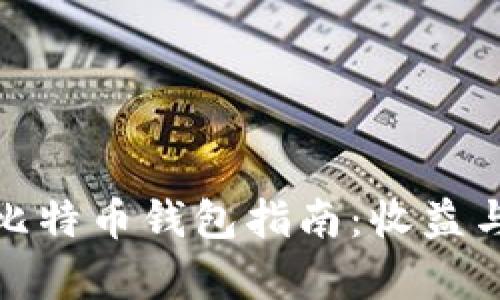 最全面的比特币钱包指南：收益与安全并存