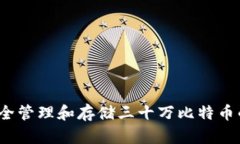 如何安全管理和存储三十万比特币的钱包？
