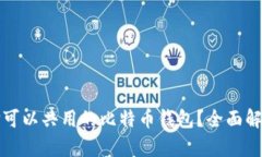 如何选择可以共用的比特币钱包？全面解析与推