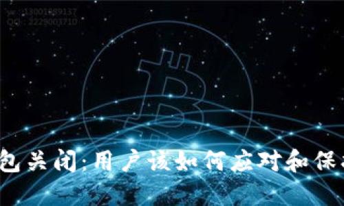 比特币在线钱包关闭：用户该如何应对和保护自己的资产？