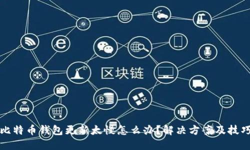 比特币钱包更新太慢怎么办？解决方案及技巧