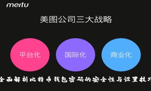 全面解析比特币钱包密码的安全性与设置技巧