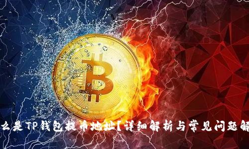 什么是TP钱包提币地址？详细解析与常见问题解答