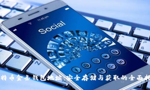 比特币金条钱包地址：安全存储与获取的全面指南