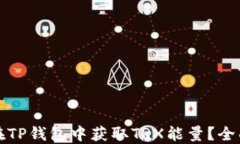 如何在TP钱包中获取TRX能量？全面指南