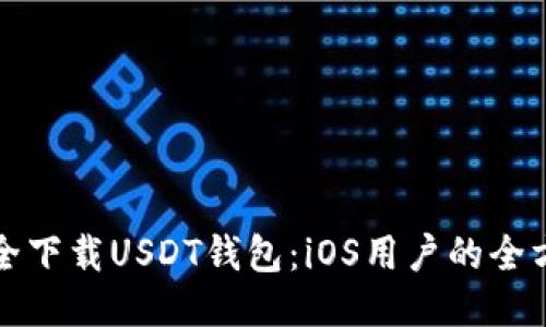 如何安全下载USDT钱包：iOS用户的全方位指南